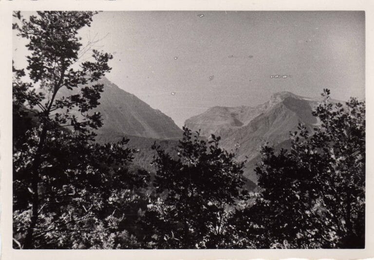 0001_Fondo-Intermesoli