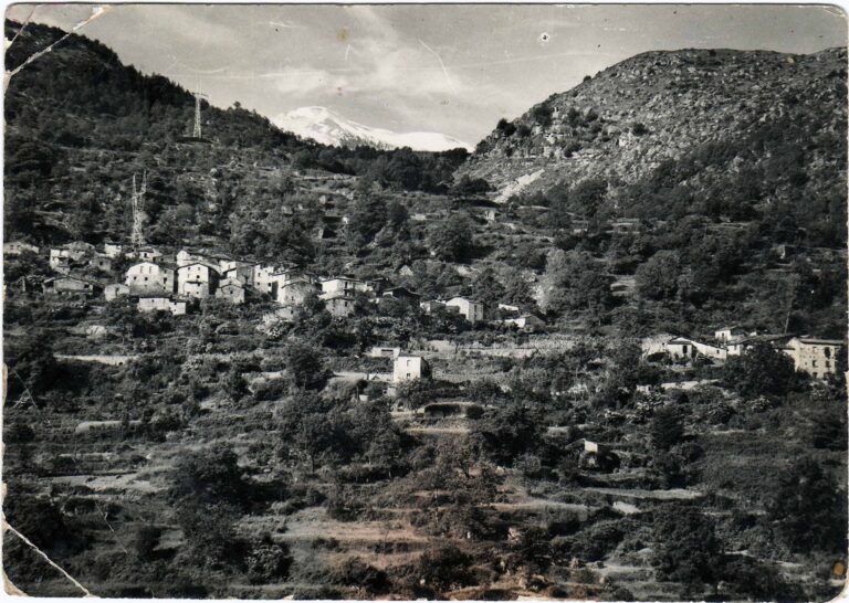 0003_Fondo-Intermesoli